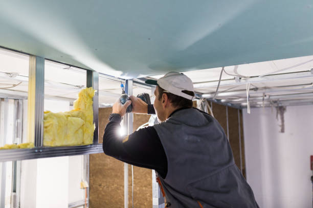 Best Spray Foam Insulation  in Perry Park, CO