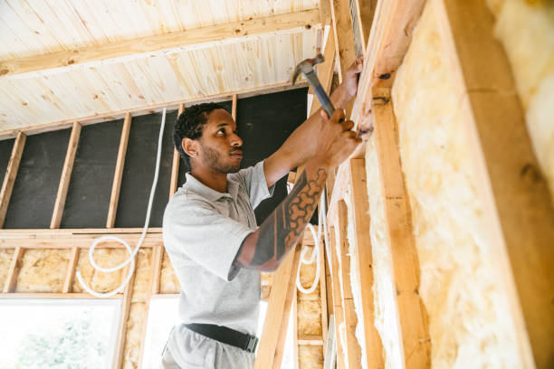 Best Insulation Contractors for Homes  in Perry Park, CO
